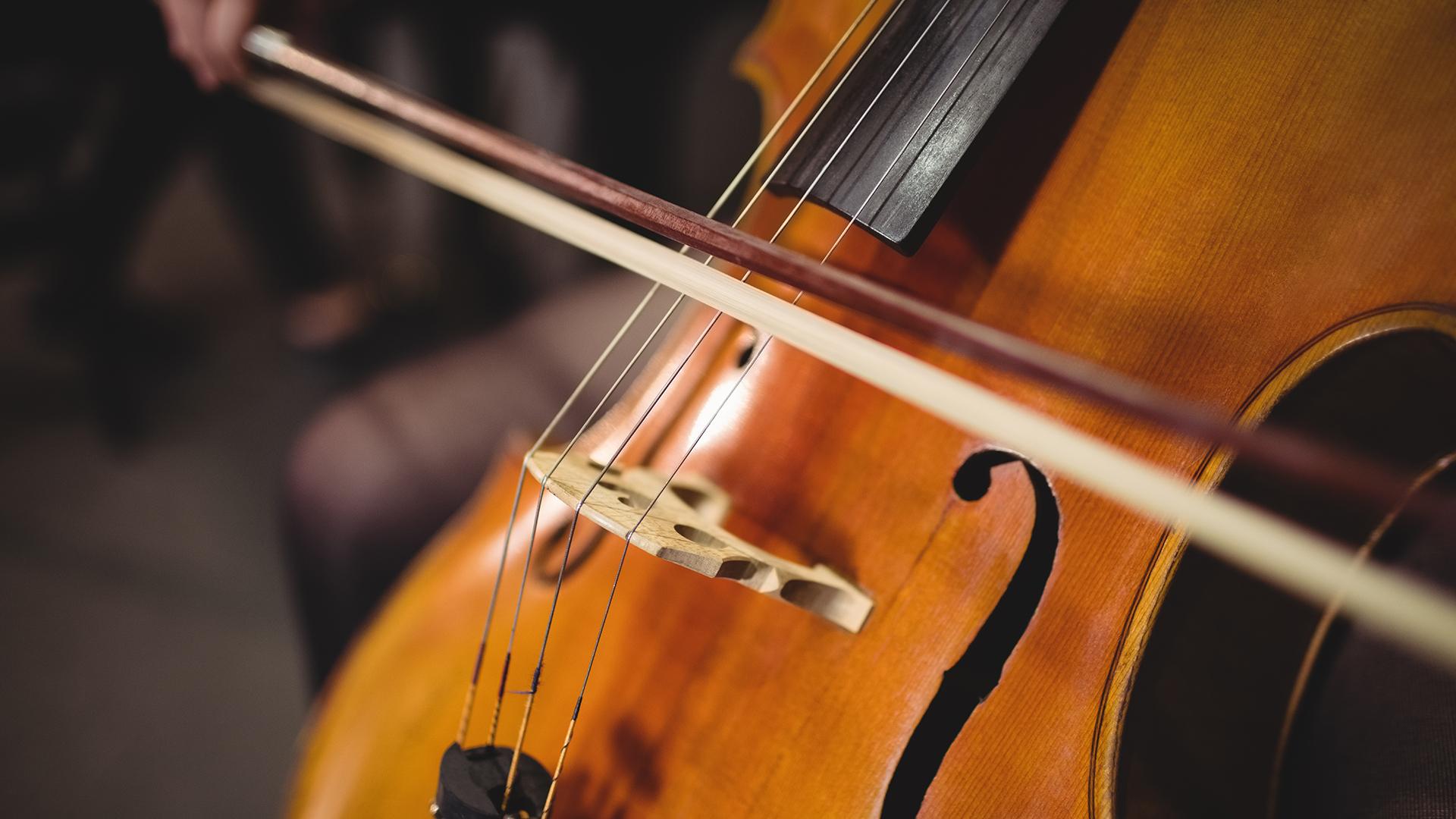 Фото: freepik.com wavebreakmedia_micro