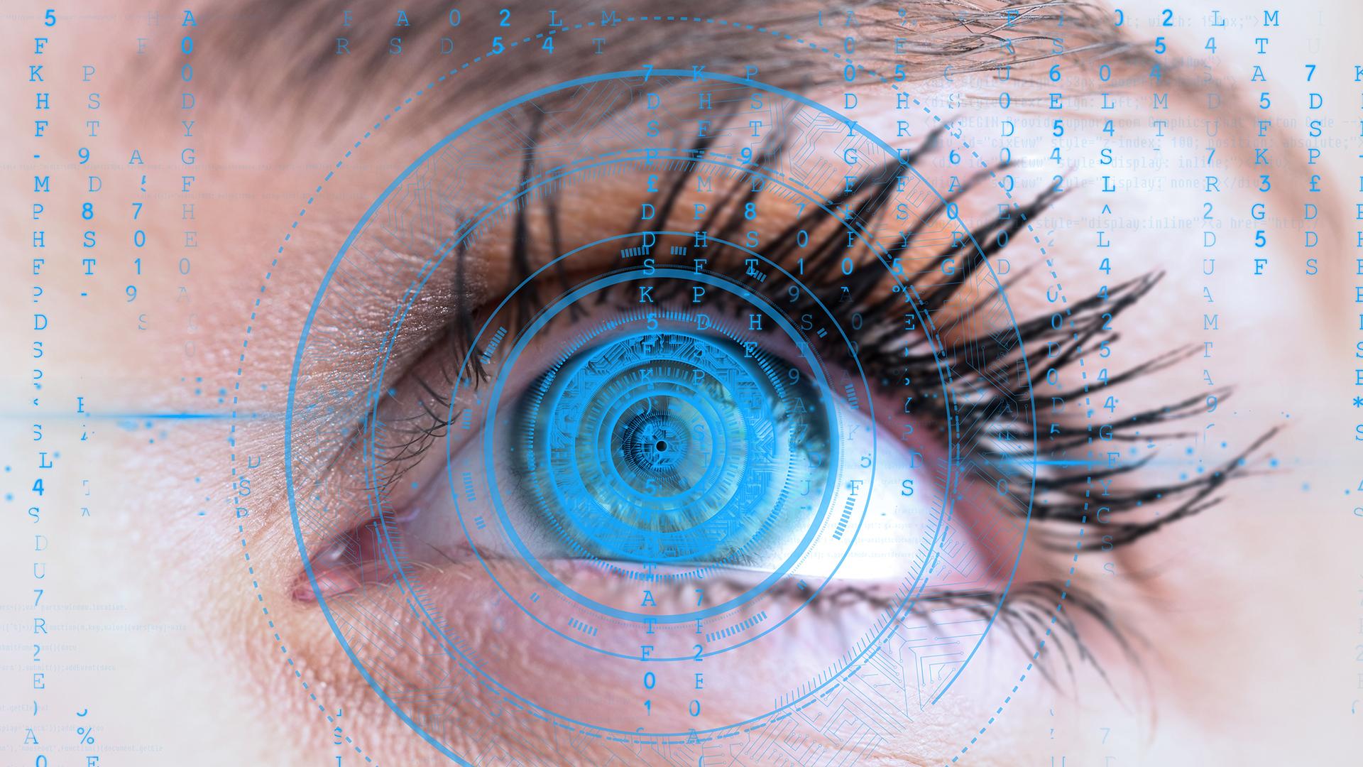 Фото: freepik.com wirestock