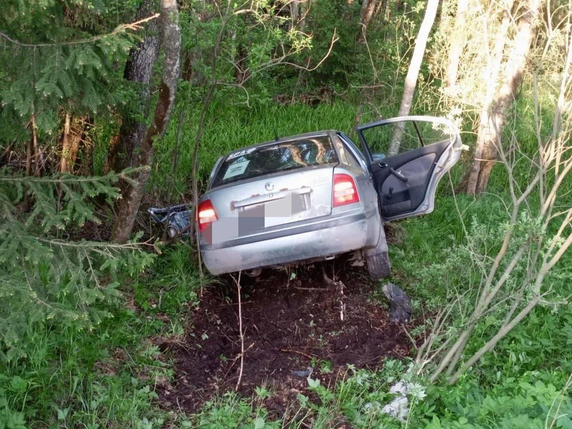 Фото: t.me dlenobl