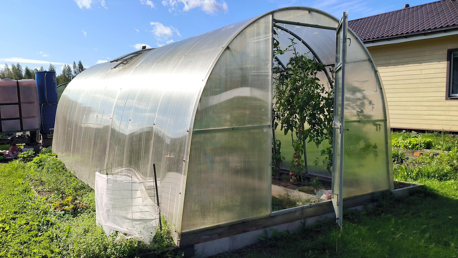 Фото: Maksim Konstantinov globallookpress.com