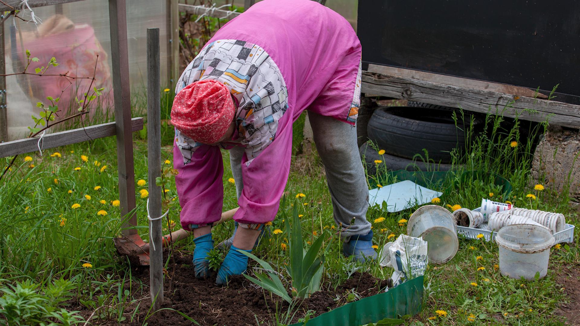 Фото: Oksana Korol globallookpress.com