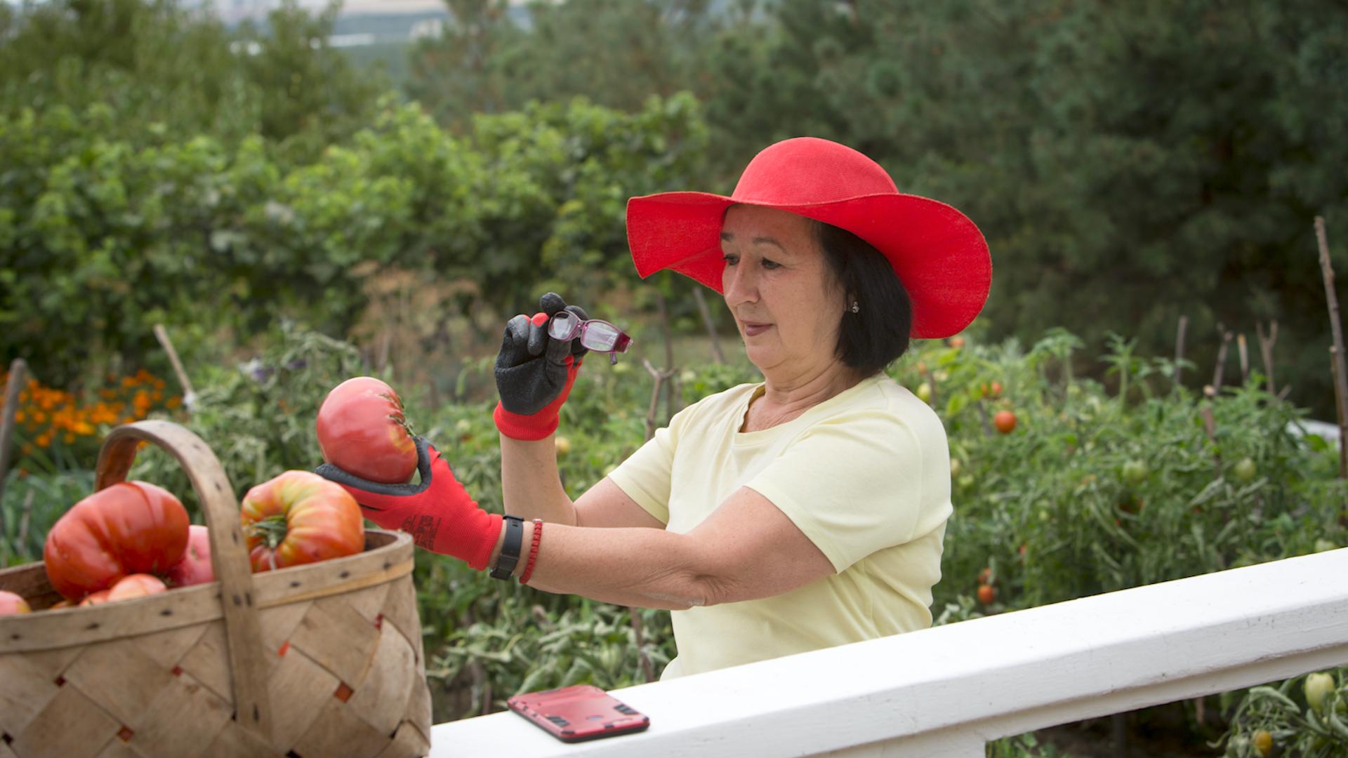 Фото: Nikolay Gyngazov globallookpress.com