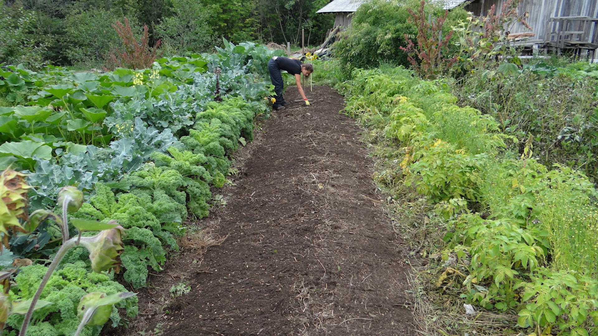 Фото: pxhere.com