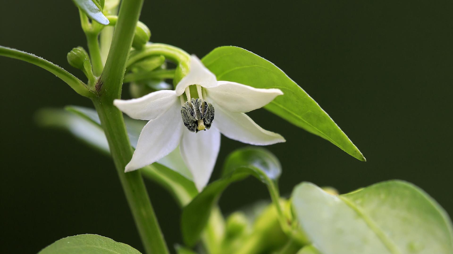 Фото: Jürgen & Christine Sohns globallookpress.com