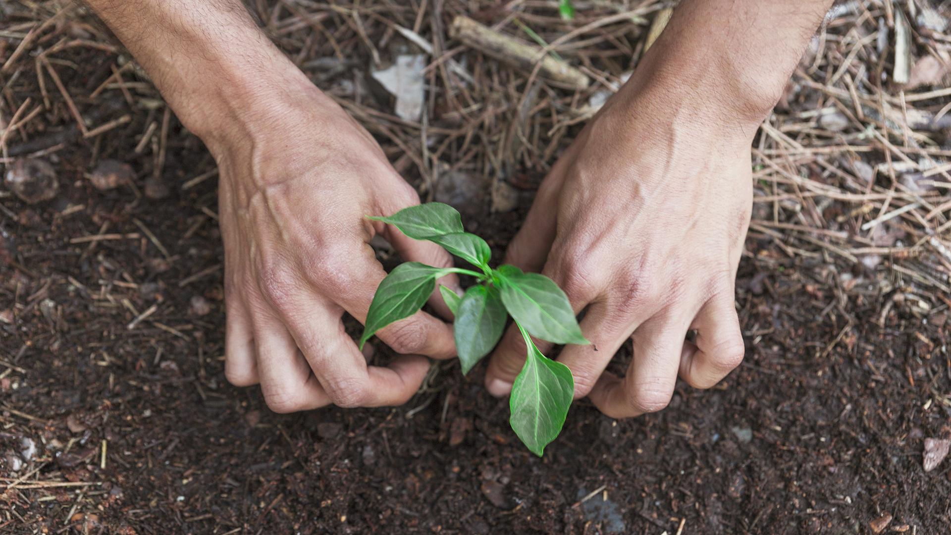 Фото: freepik.com