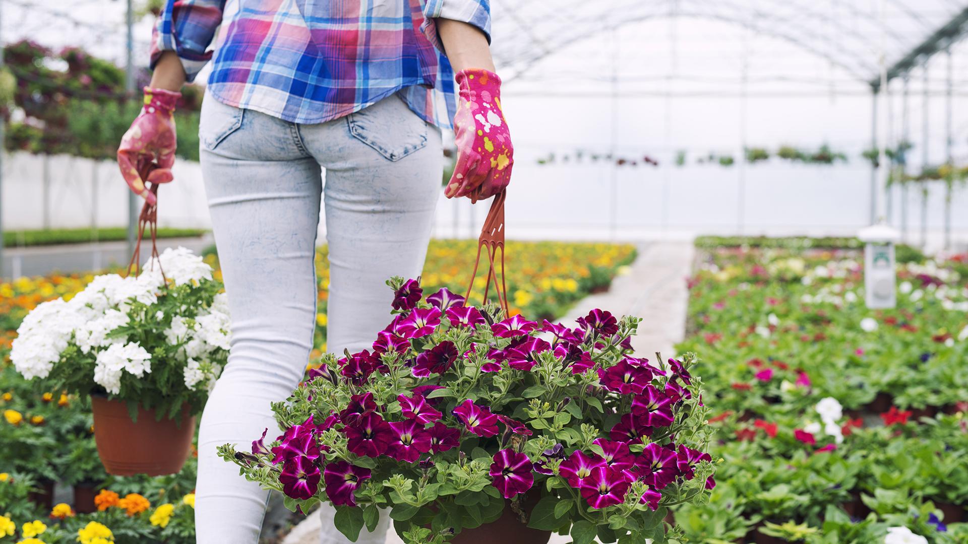 Фото: freepik.com aleksandarlittlewolf