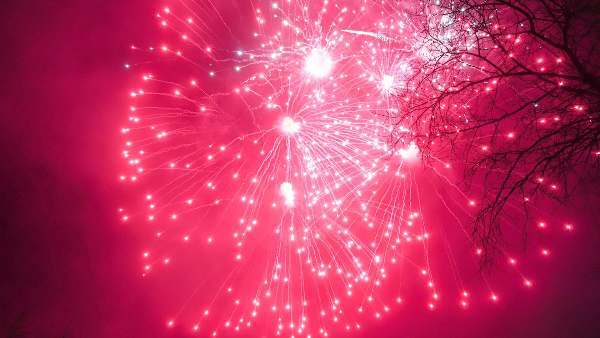 Фото:  Razmik Zackaryan globallookpress.com