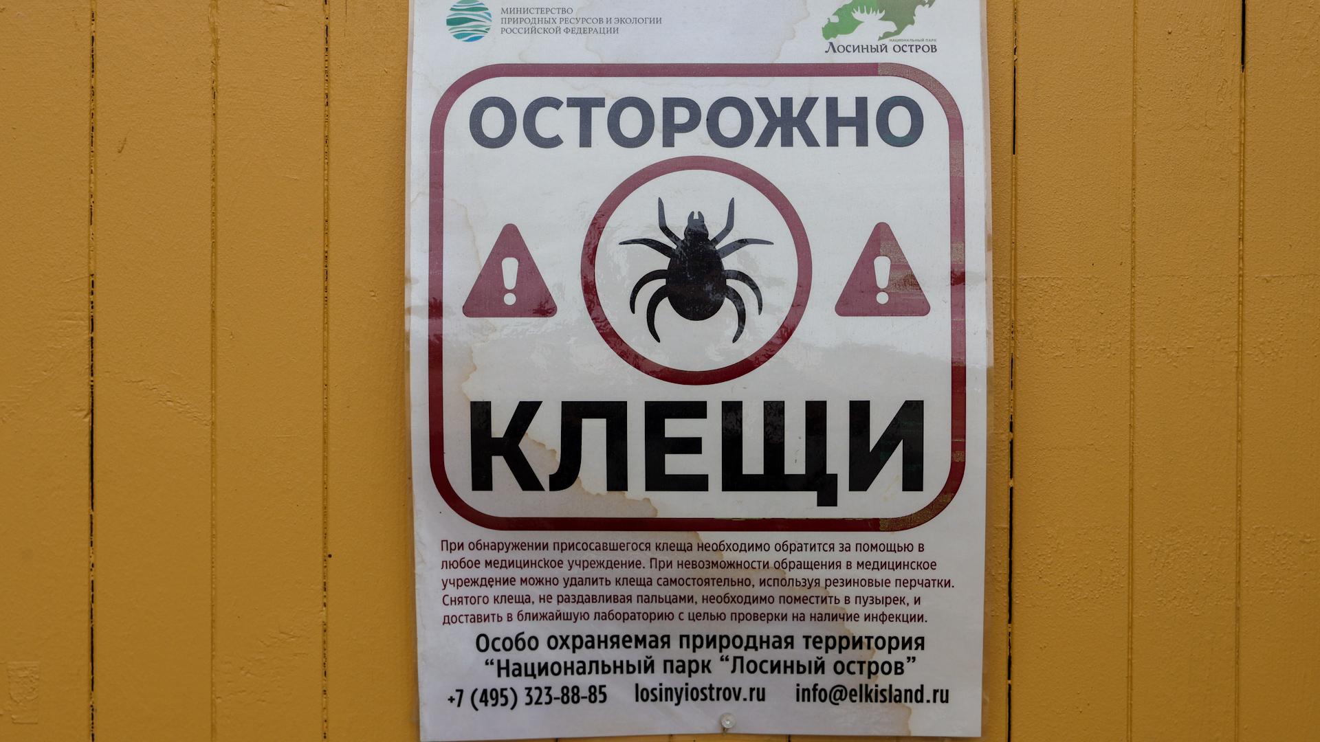 Фото: Shatokhina Natalia news.ru globallookpress.com