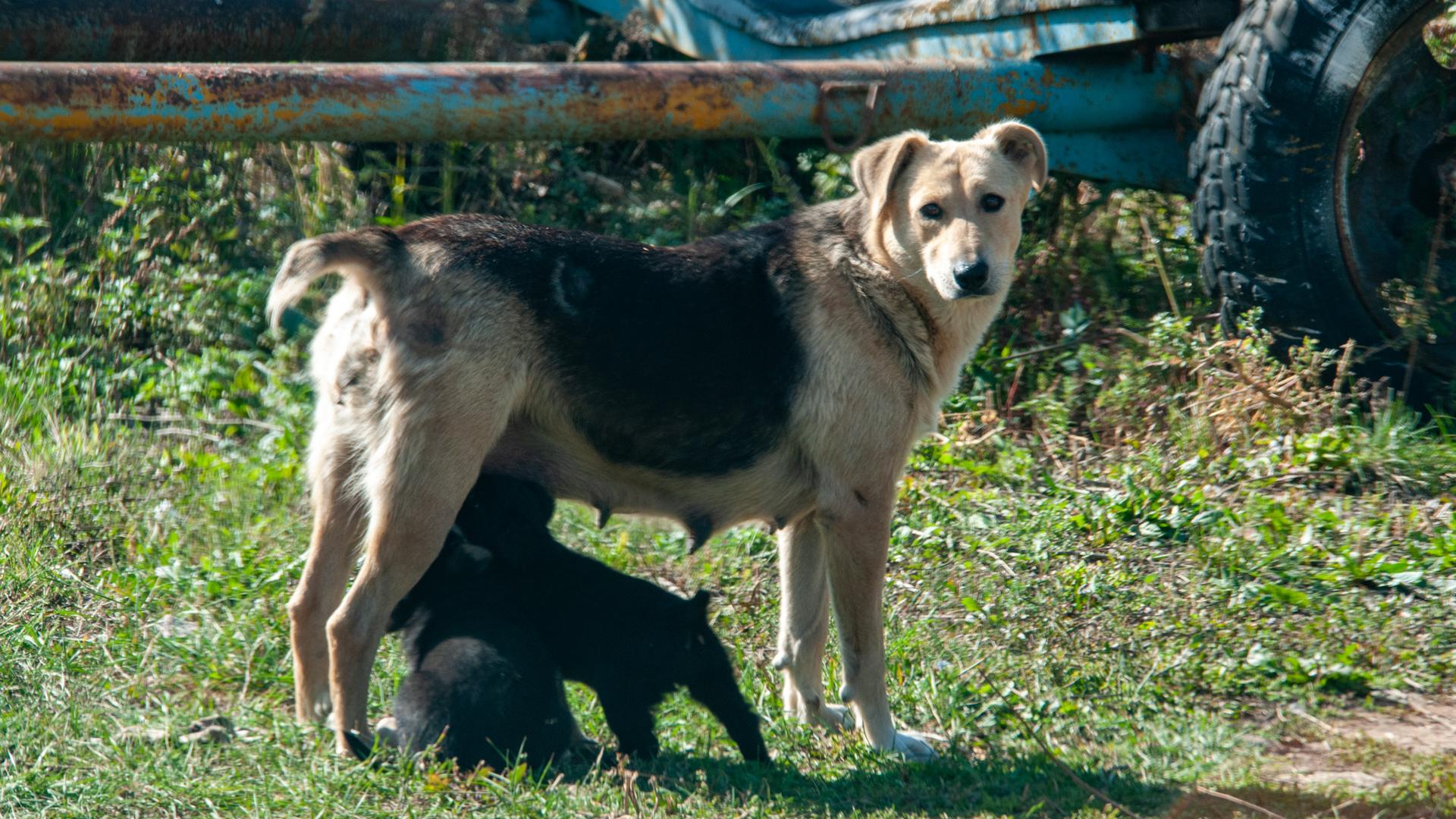Фото: Svetlana Vozmilova globallookpress.com