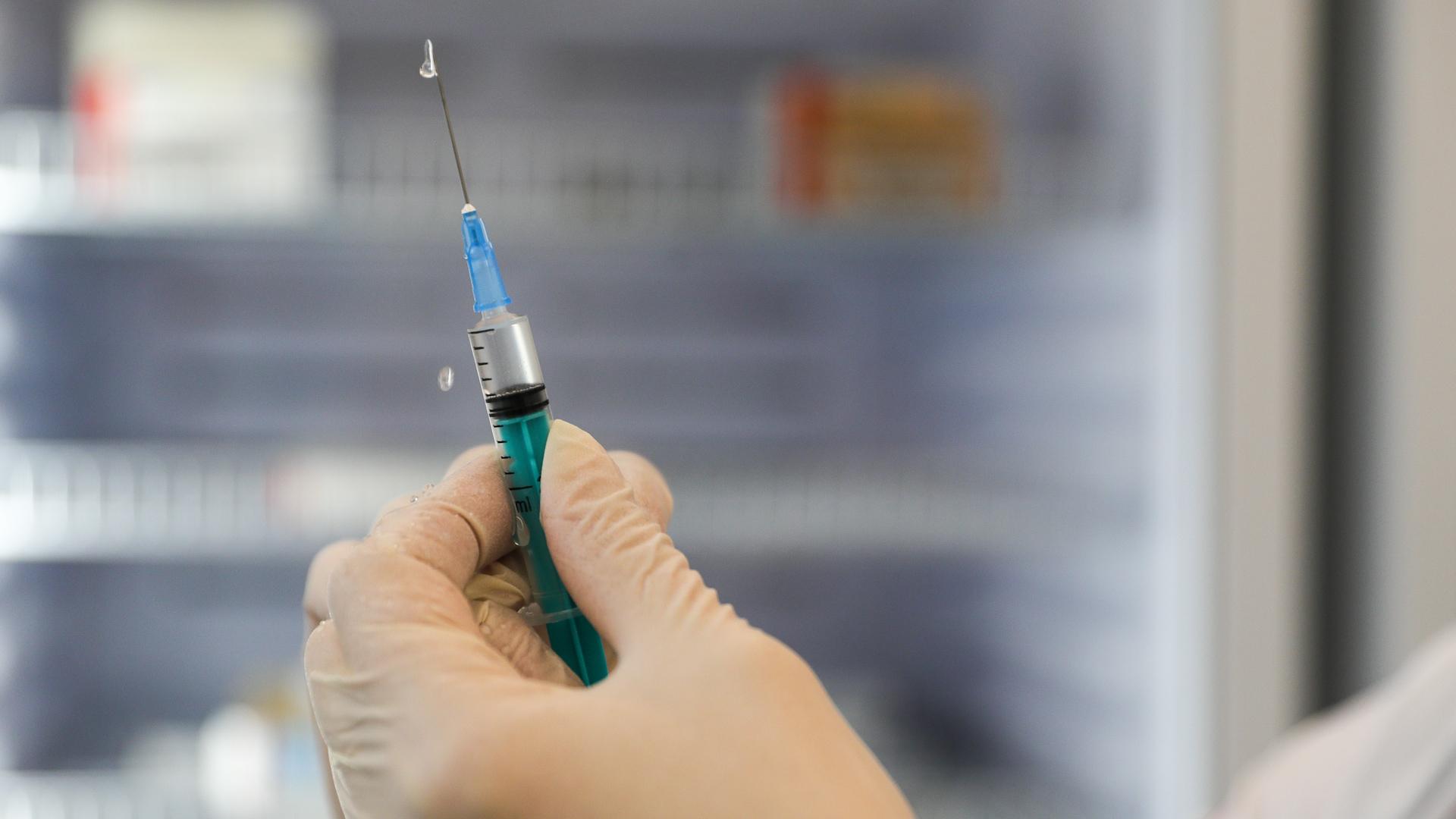 Фото: Bulkin Sergey news.ru globallookpress.com