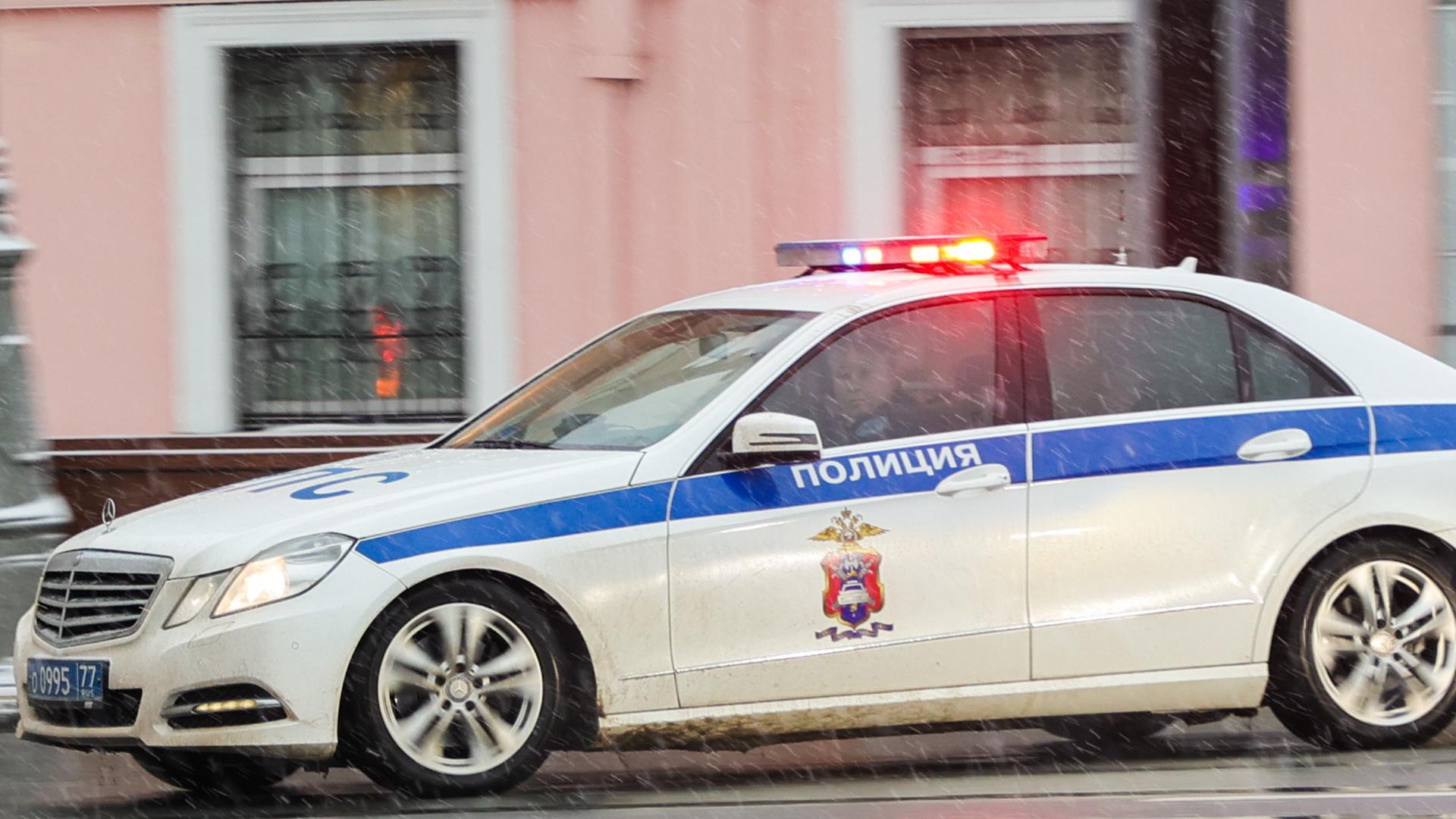 Фото: Petrov Sergey news.ru