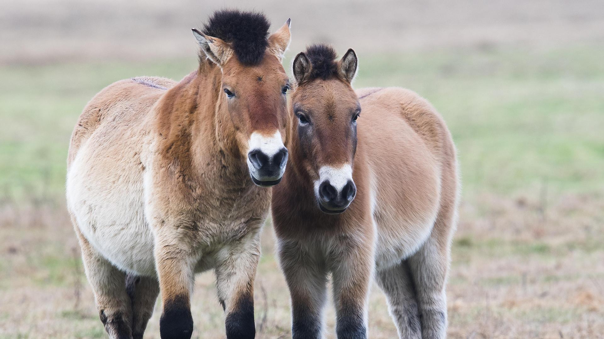 Фото: Erhard Nerger globallookpress.com