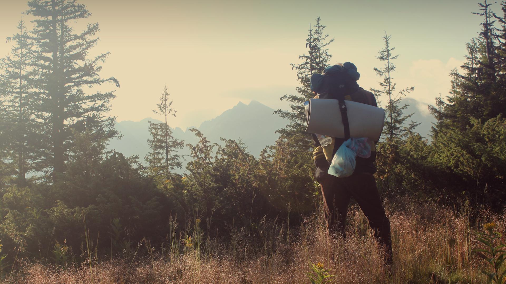 Фото: pxhere.com