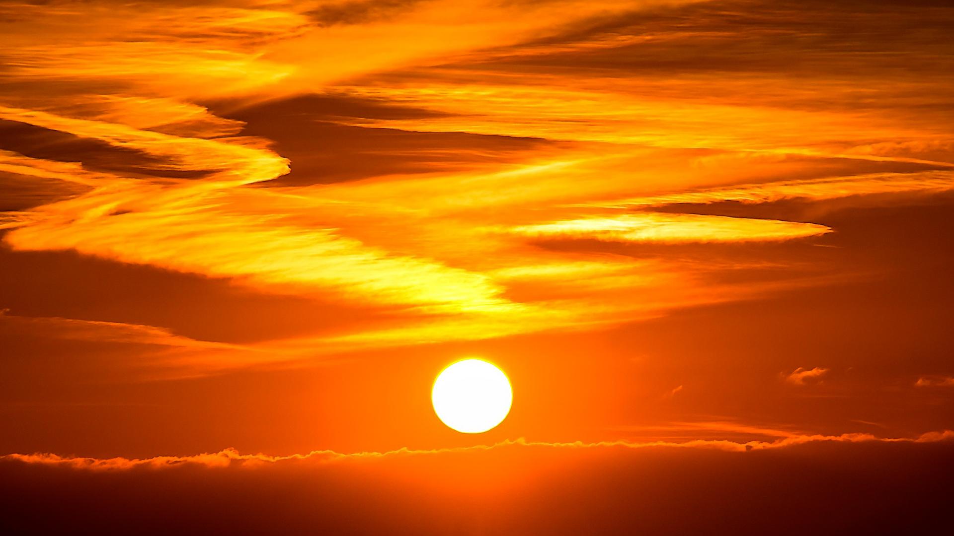 Фото: pixabay.com