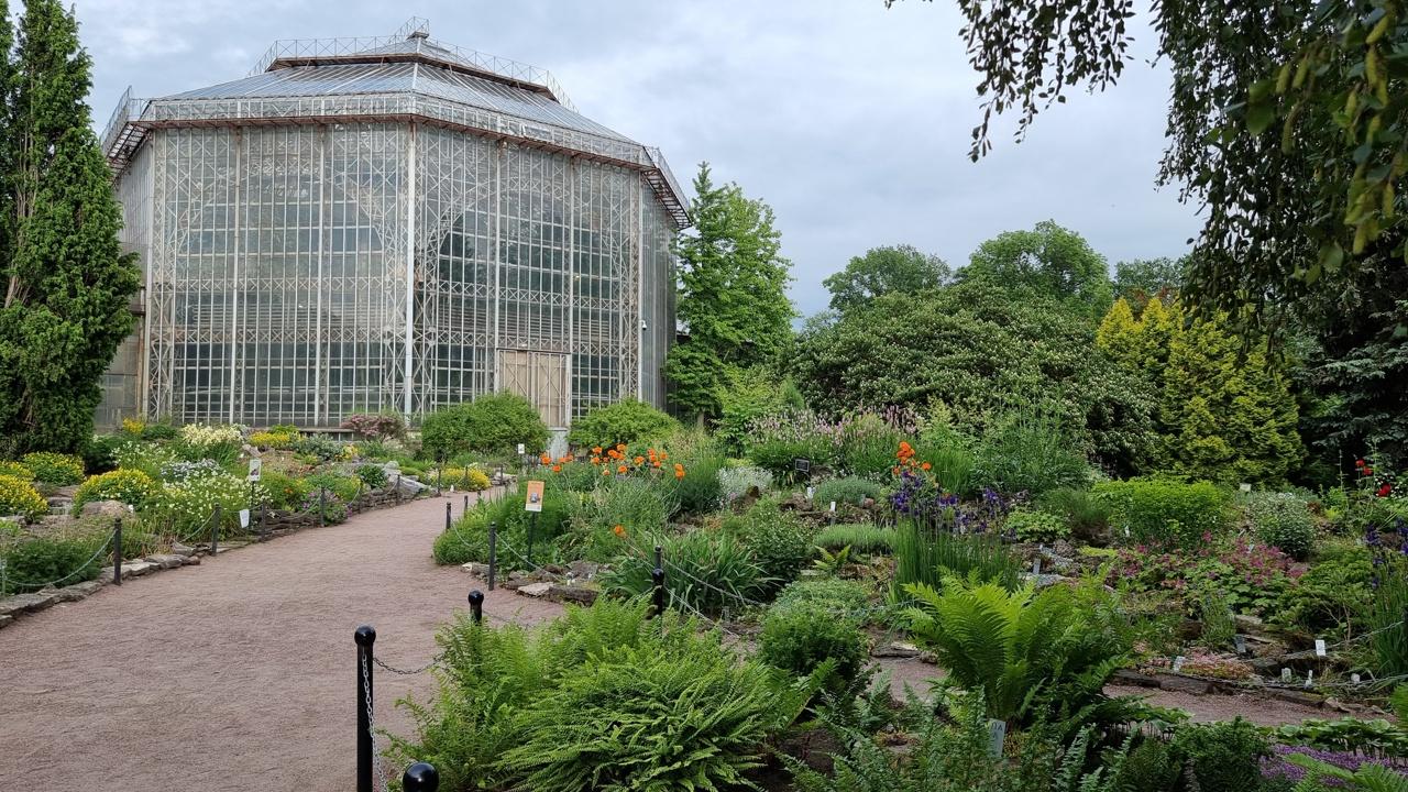 Фото: vk.com botsad_spb Ekaterina Agalakova 