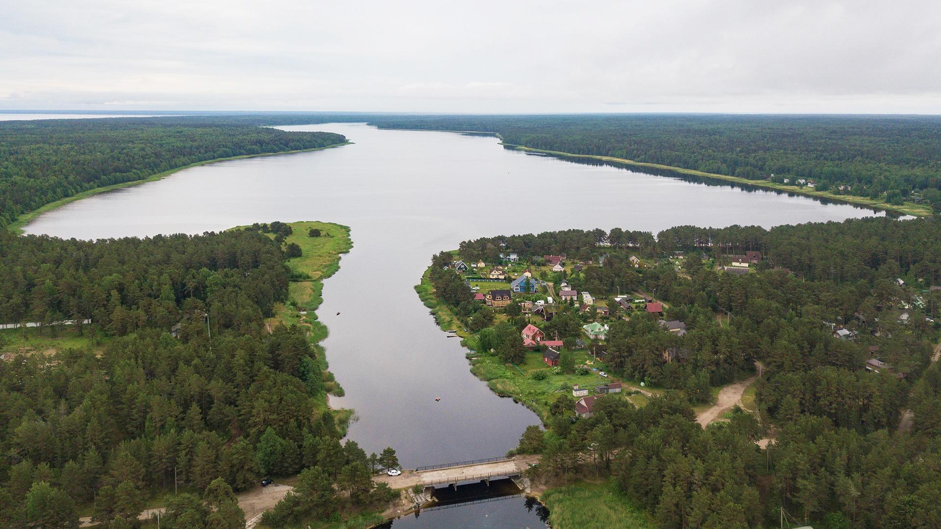 Фото: wikimedia.org Красный; CC BY-SA 4.0