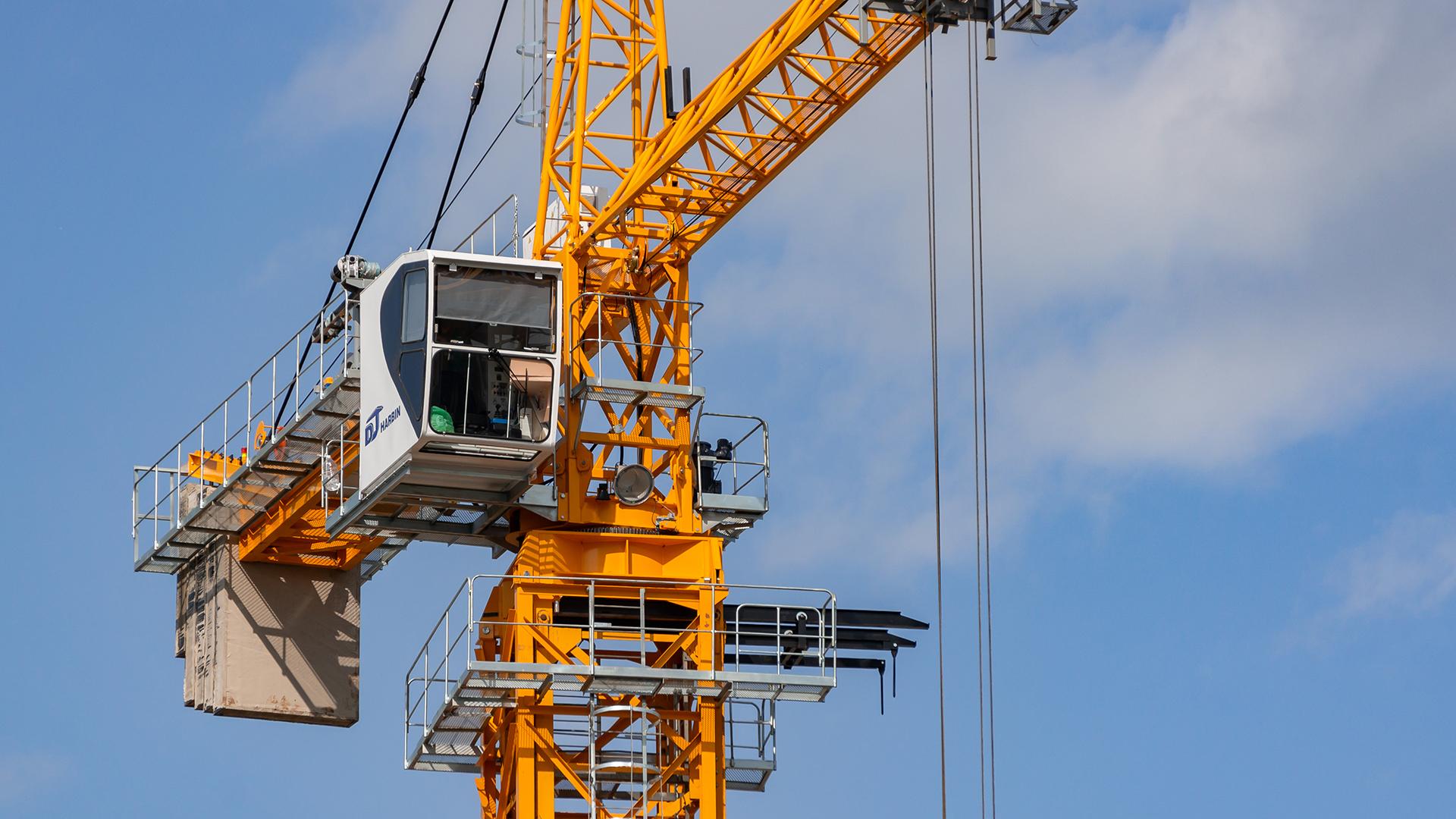 Фото: Oleg Spiridonov globallookpress.com