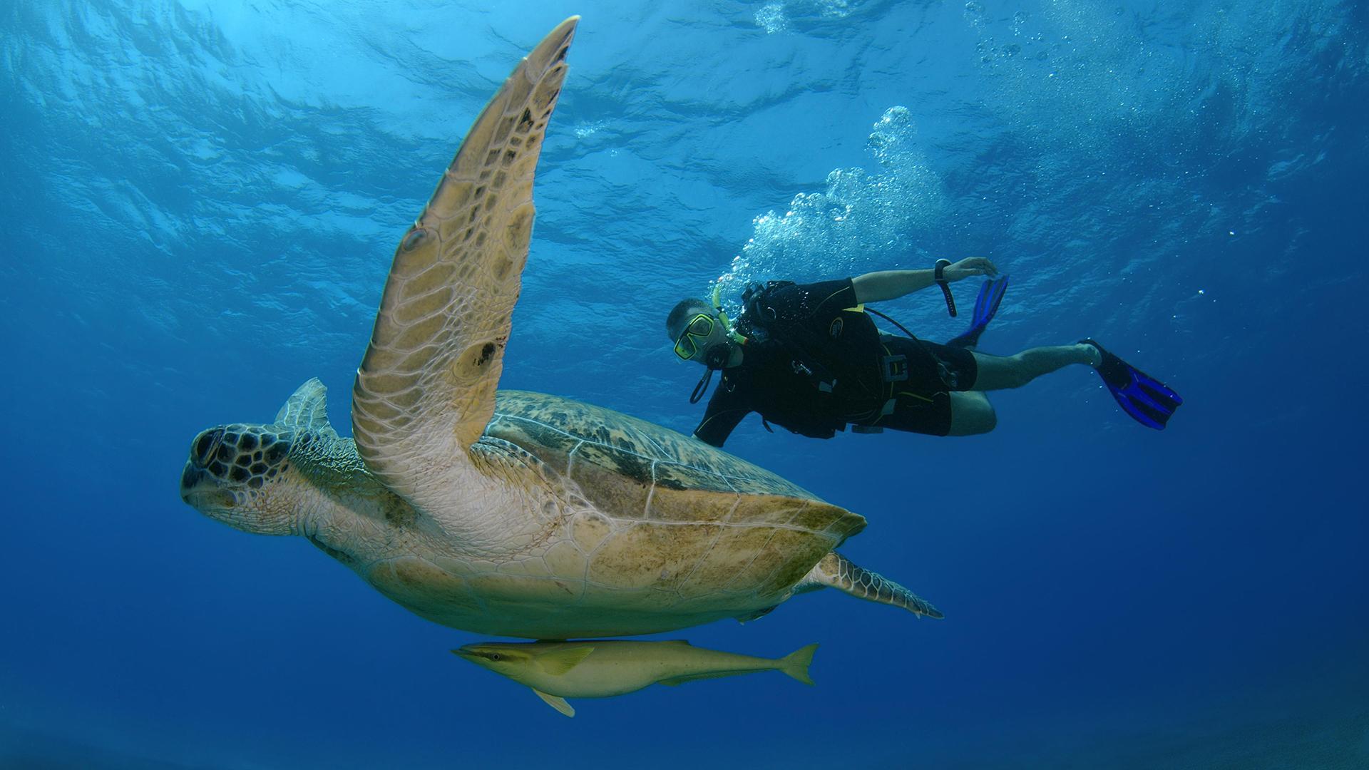 Фото: Andrey Nekrasov globallookpress.com