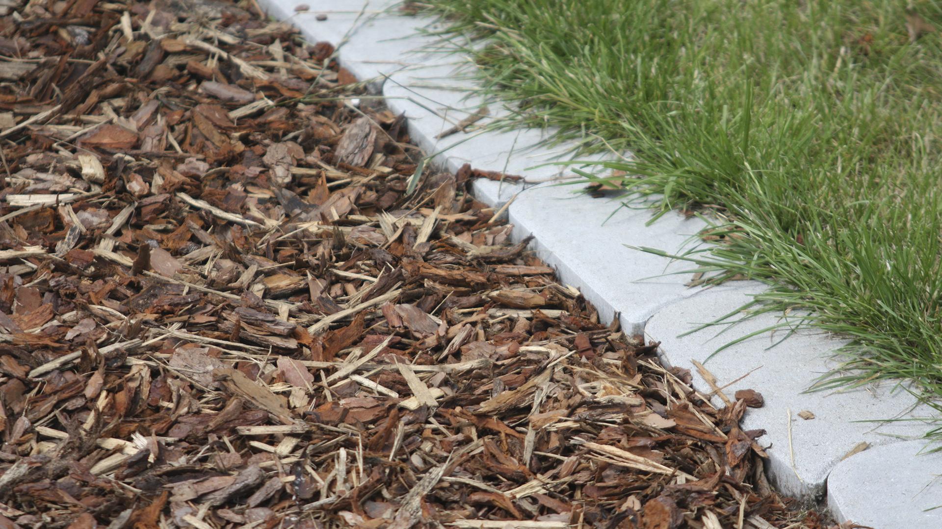 Фото: wikipedia.org Apostoloff; GPL