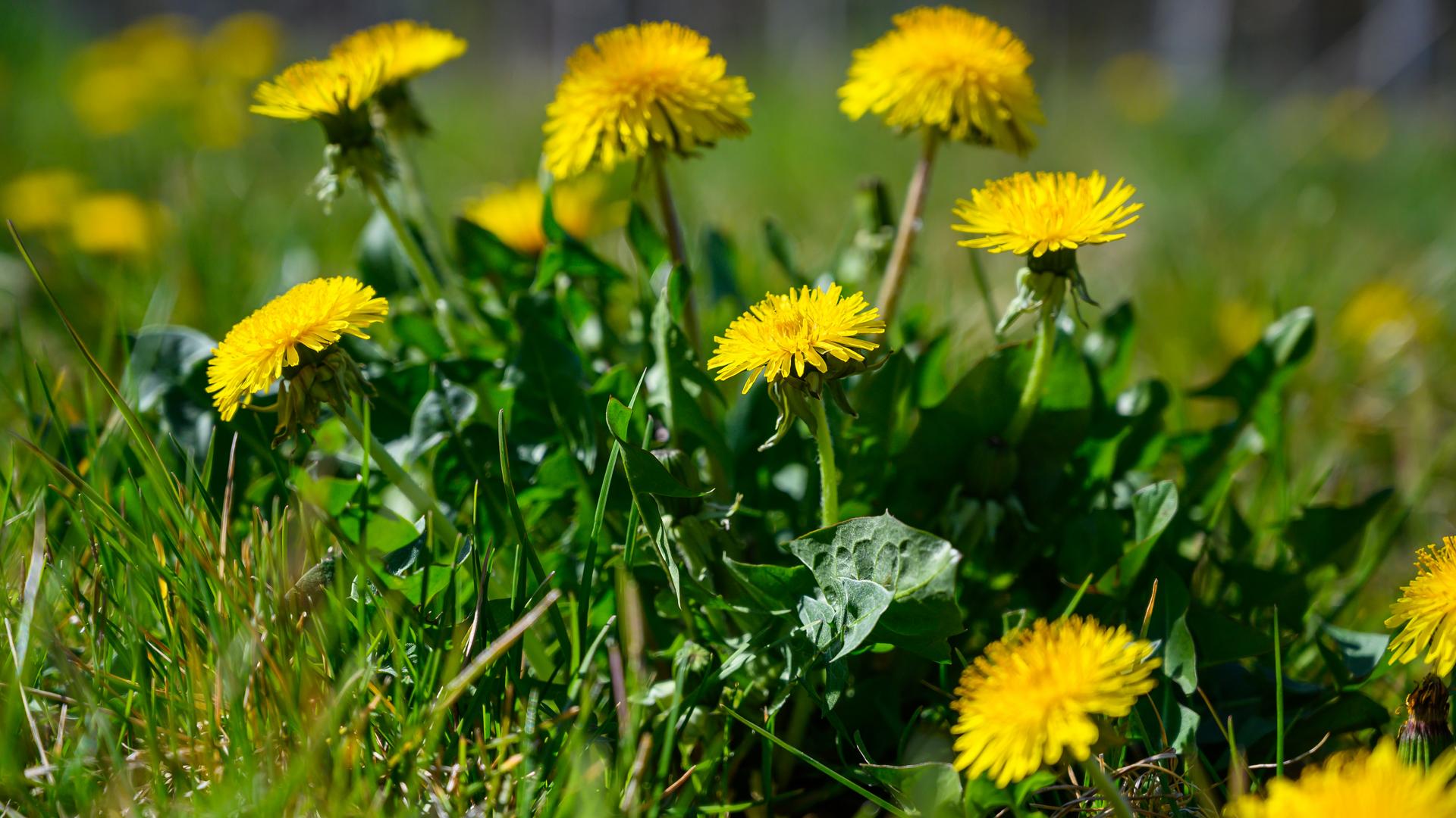 Фото: freepik.com wirestock