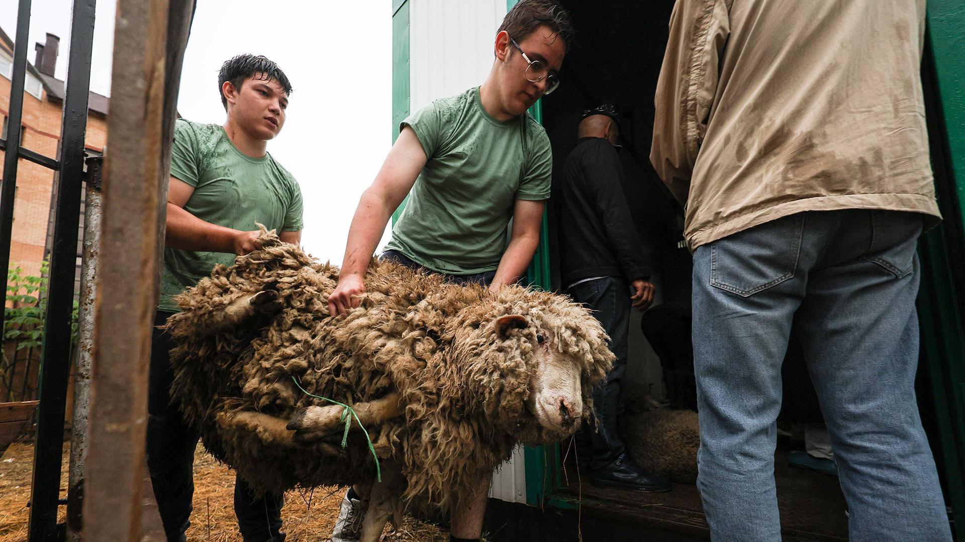 Фото: Andrey Titov globallookpress.com