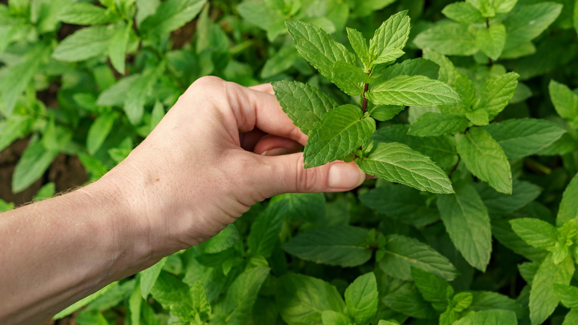 Фото: freepik.com ArthurHidden