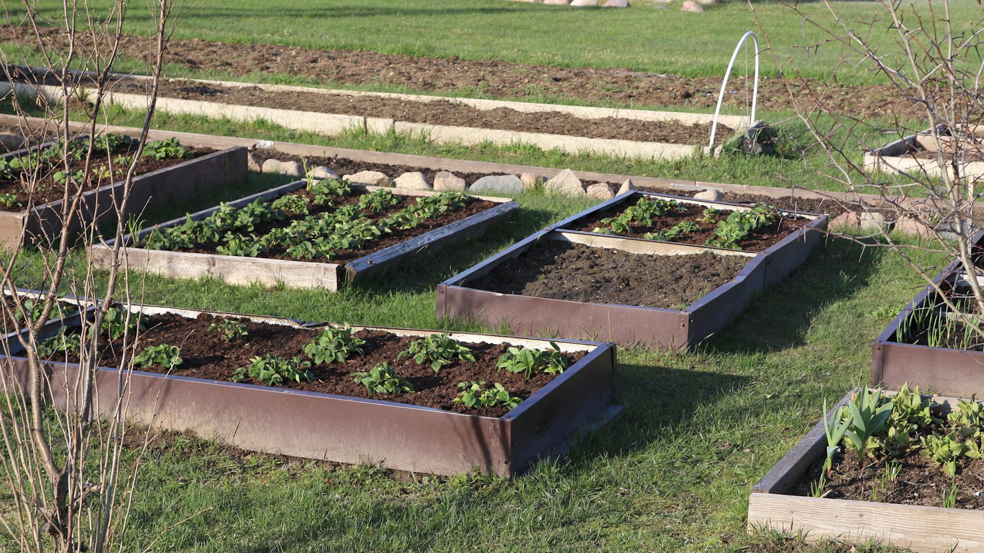 Фото: Maksim Konstantinov globallookpress.com