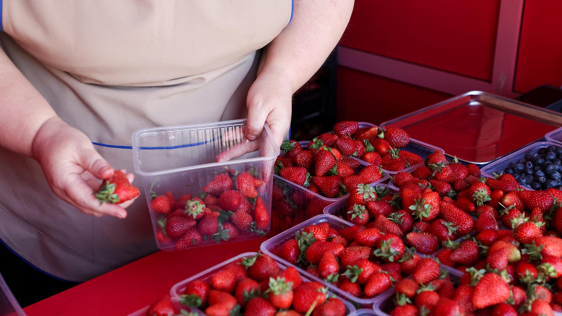 Фото: Belkin Alexey globallookpress.com