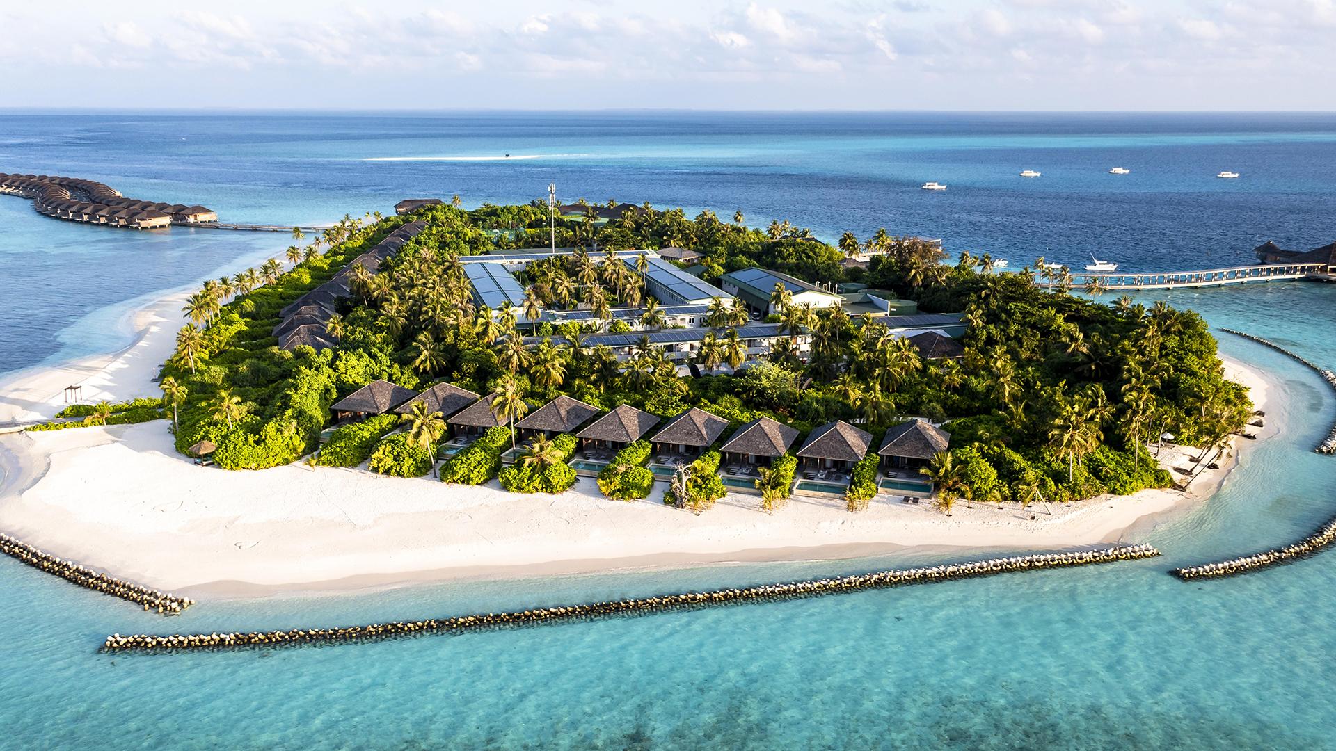 Фото: Martin Moxter globallookpress.com