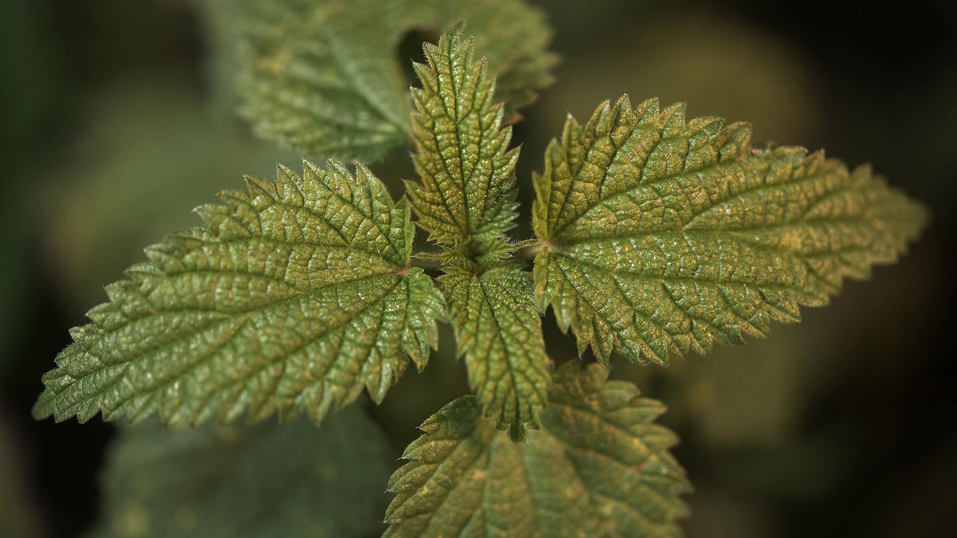 Фото: freepik.com wirestock