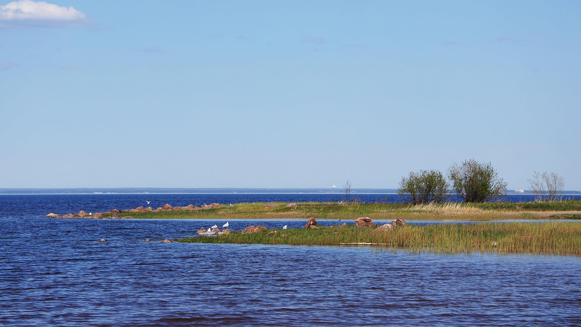 Фото: wikimedia.org Eseyf; CC BY-SA 4.0