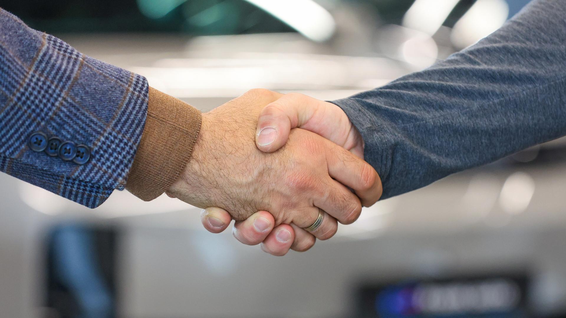 Фото: Shatokhina Natalia globallookpress.com