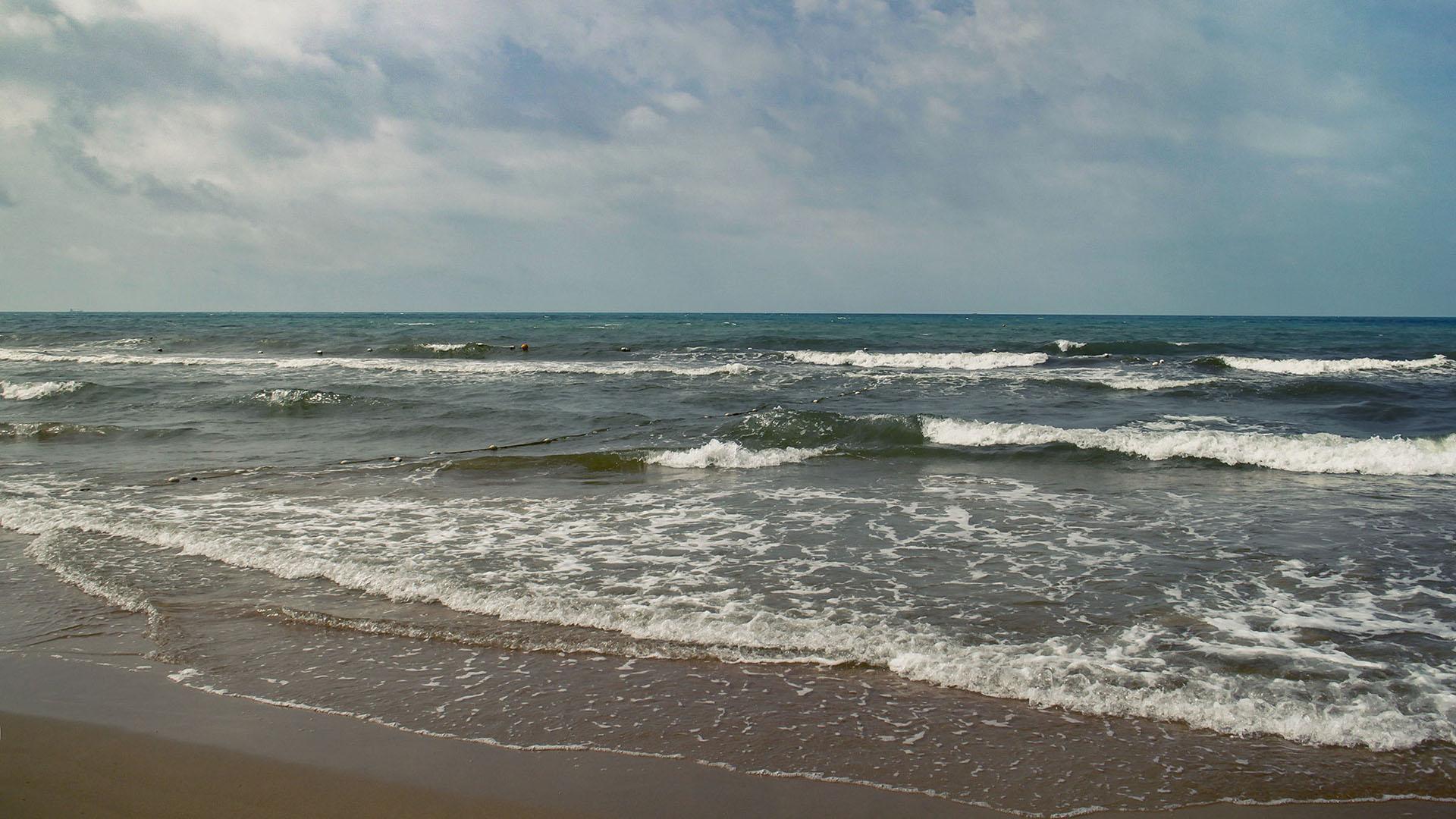 Фото: wikipedia.org Max071086; CC BY-SA 4.0