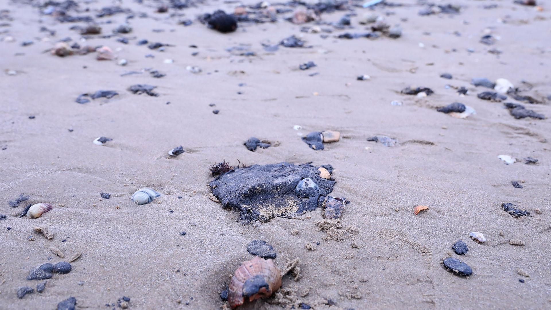 Фото: Roman Naumov globallookpress.com