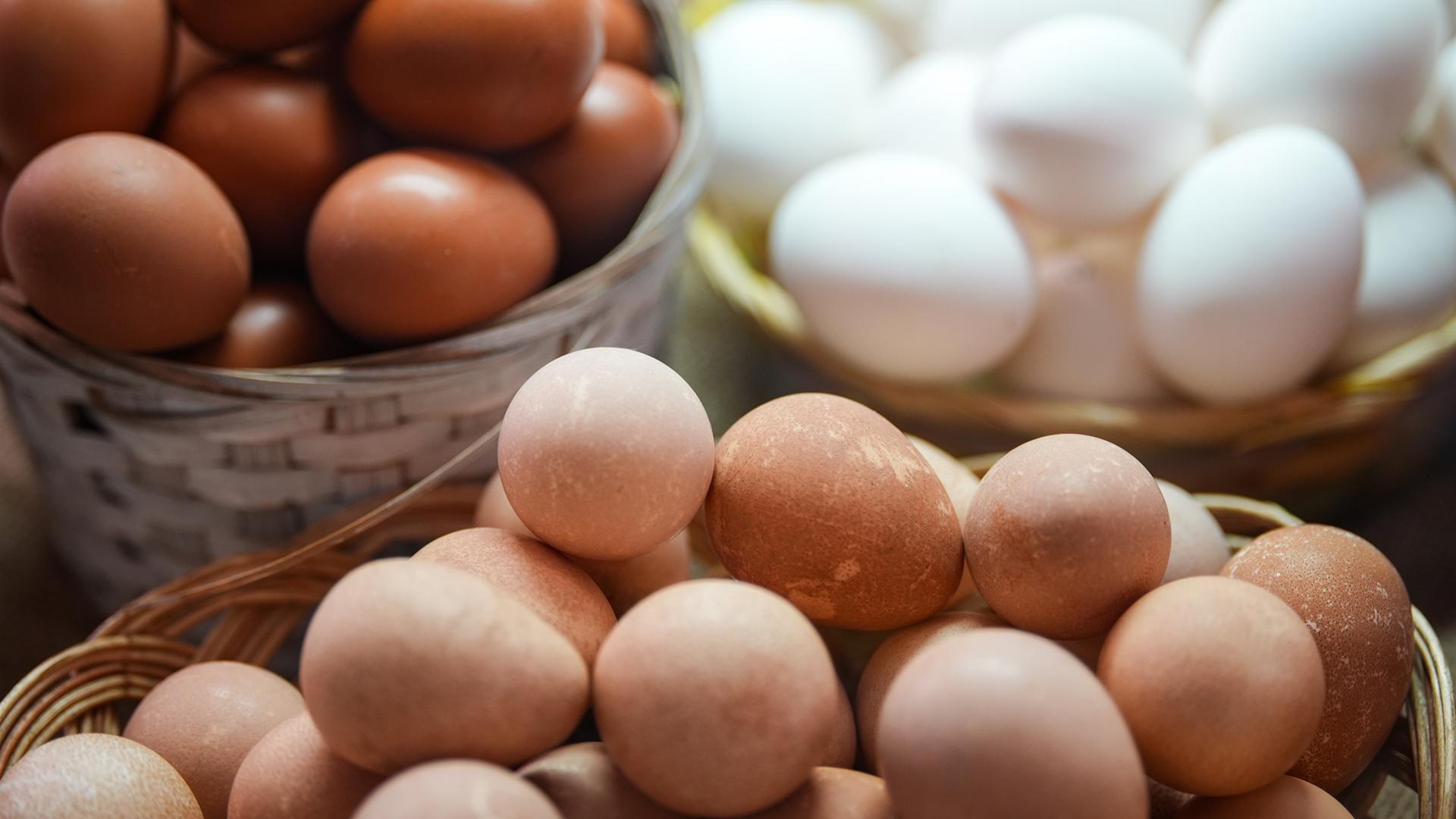 Фото: ИЗВЕСТИЯ Сергей Лантюхов