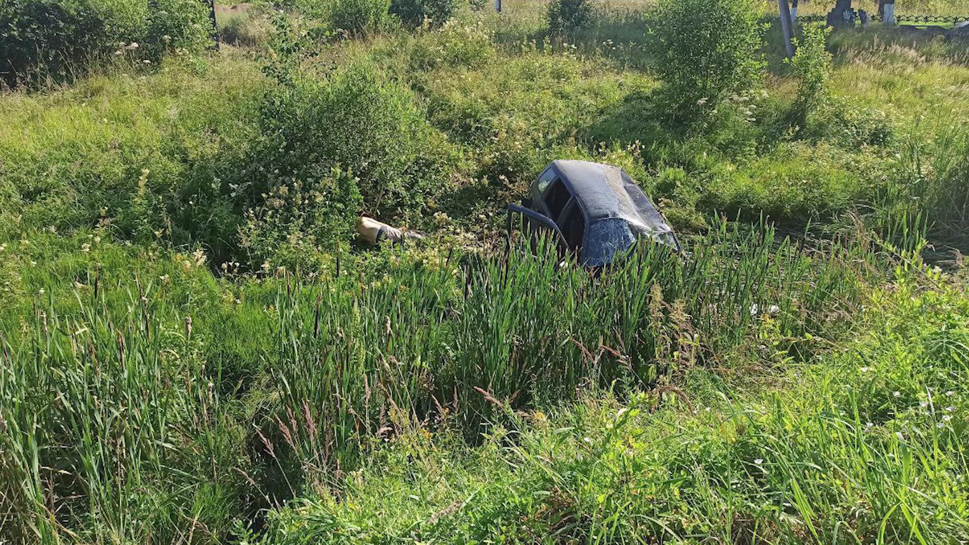 Фото: ОФФ УПРОДОР