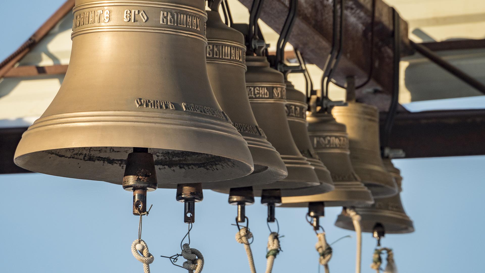 Фото: Serguei Fomine globallookpress.com