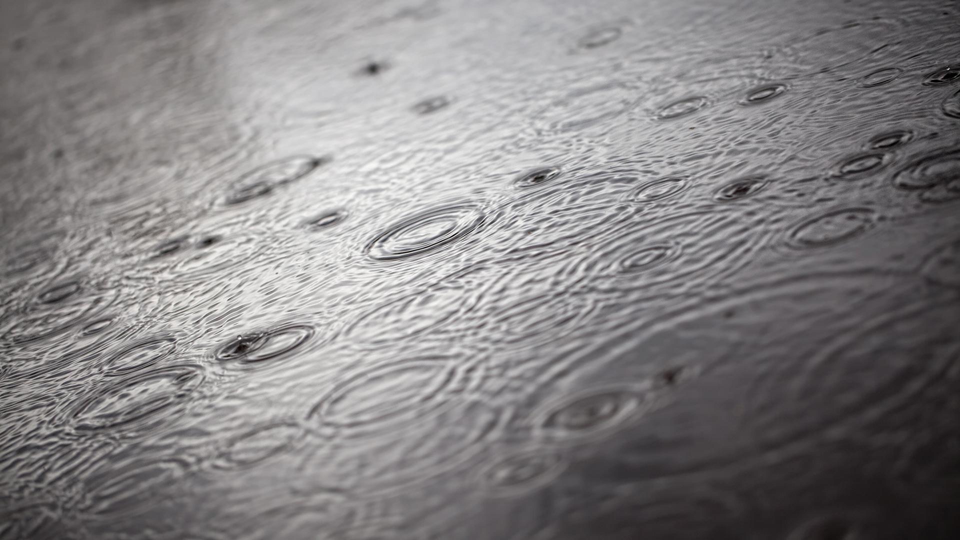 Фото: Heinz-Dieter Falkenstein globallookpress.com