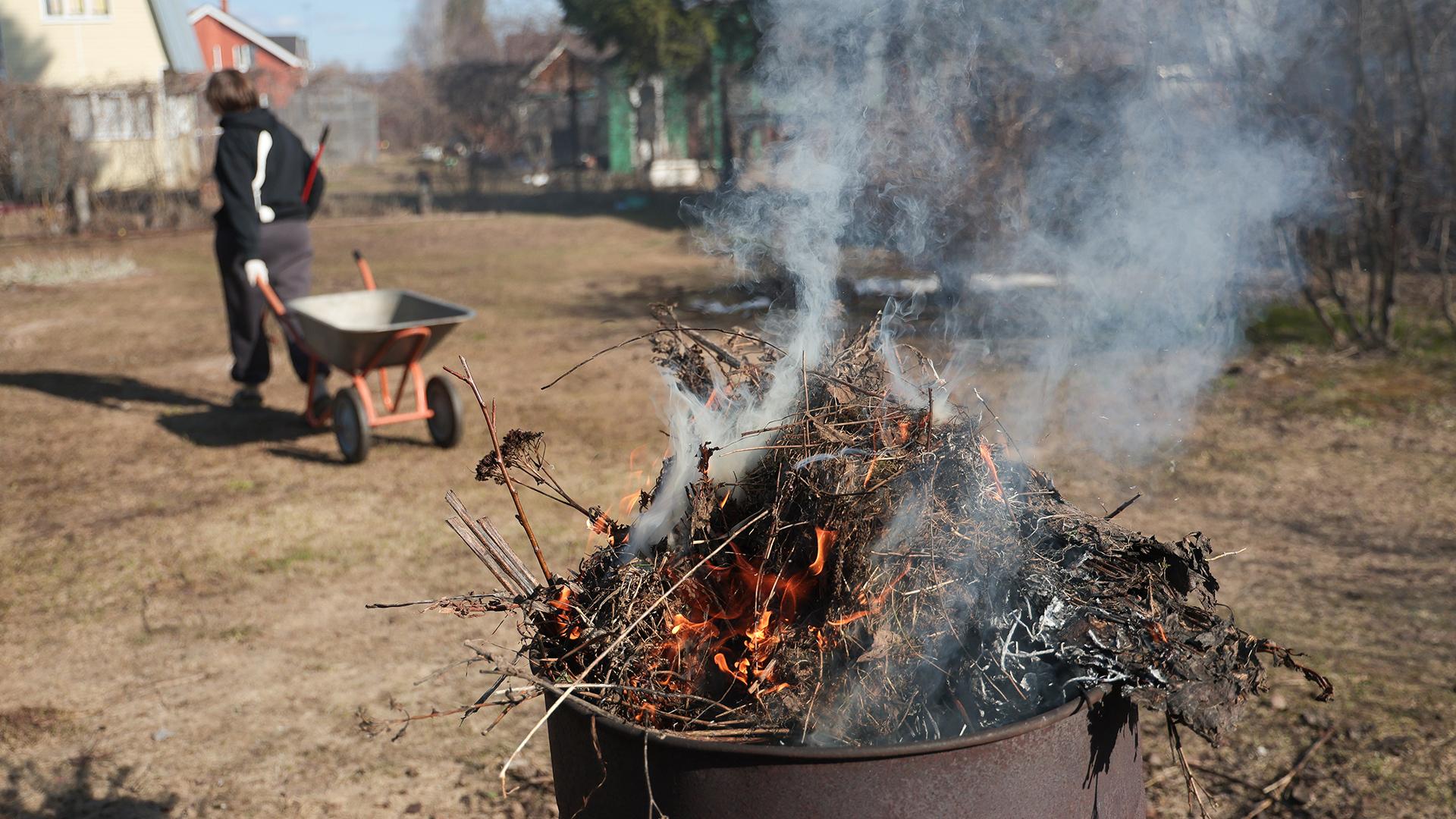 Фото: Andrey Titov globallookpress.com