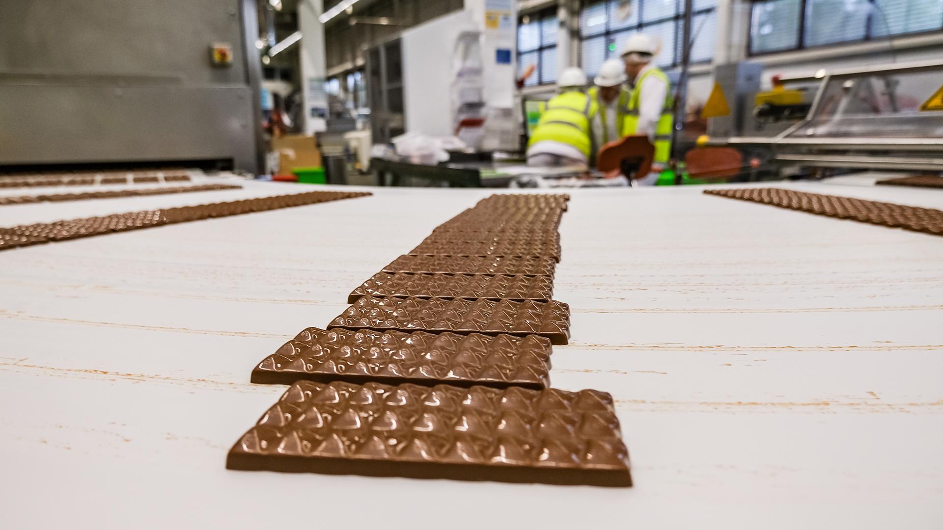 Фото: Bulkin Sergey globallookpress.com