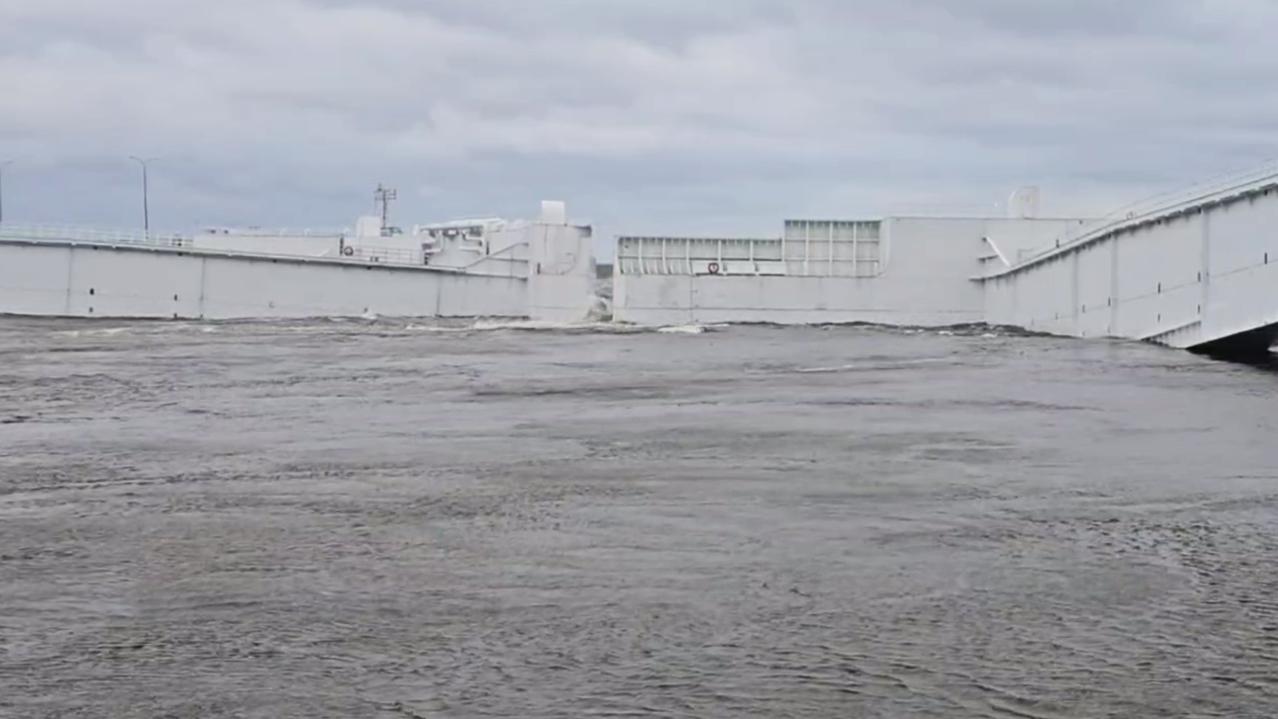 Фото: t.me dambaspb