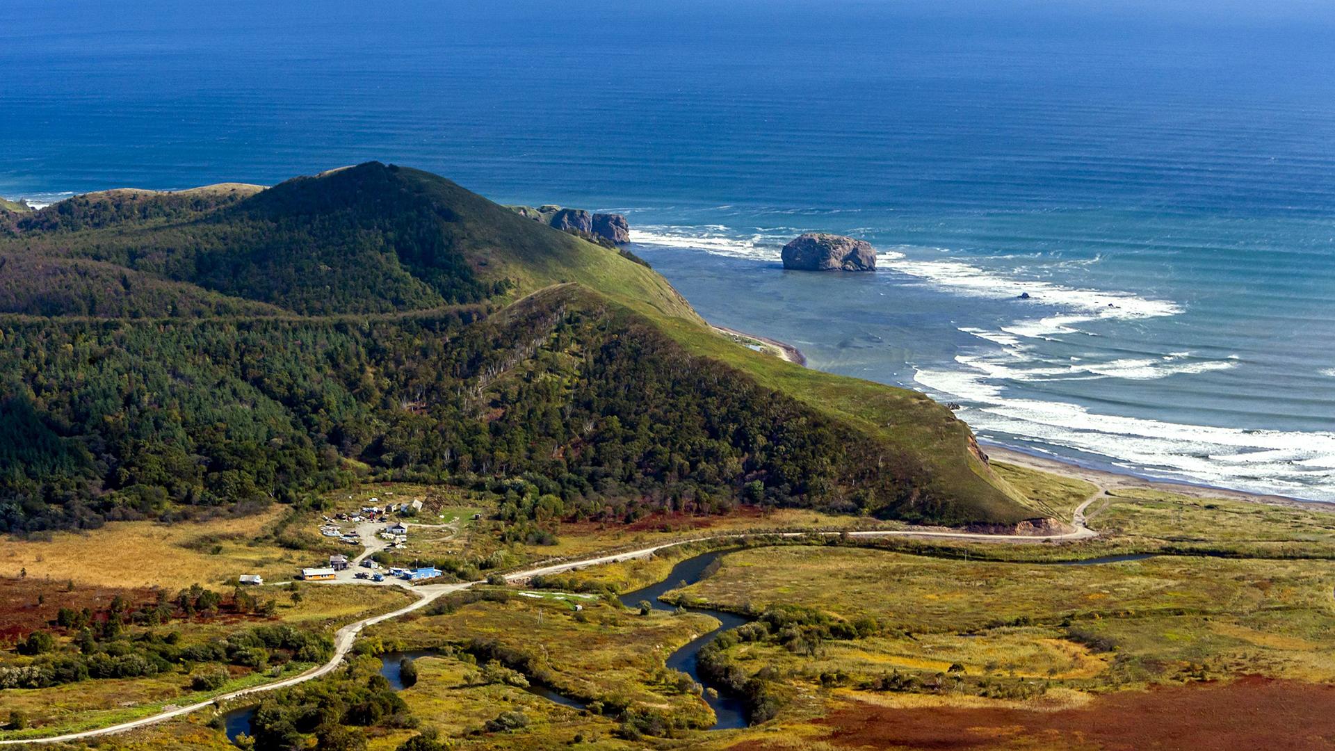 Фото: Serguei Fomine globallookpress.com