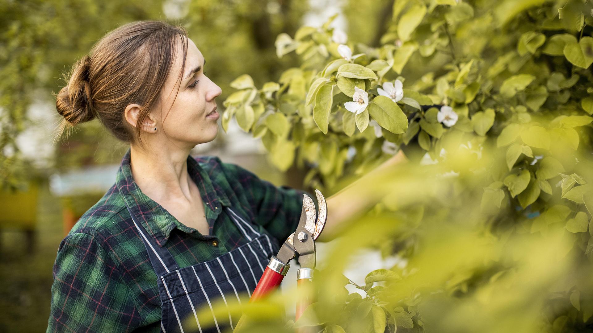 Фото: freepik.com