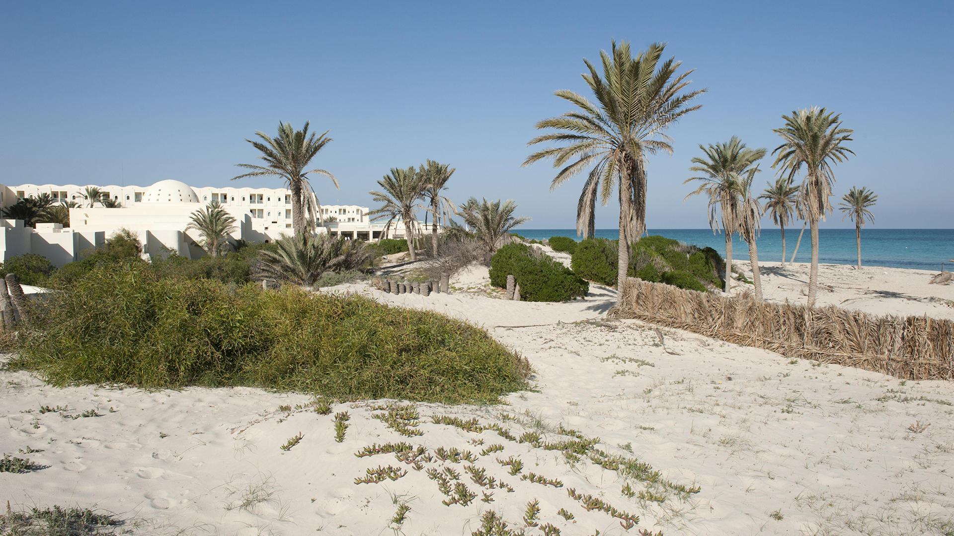 Фото: Stefan Auth globallookpress.com