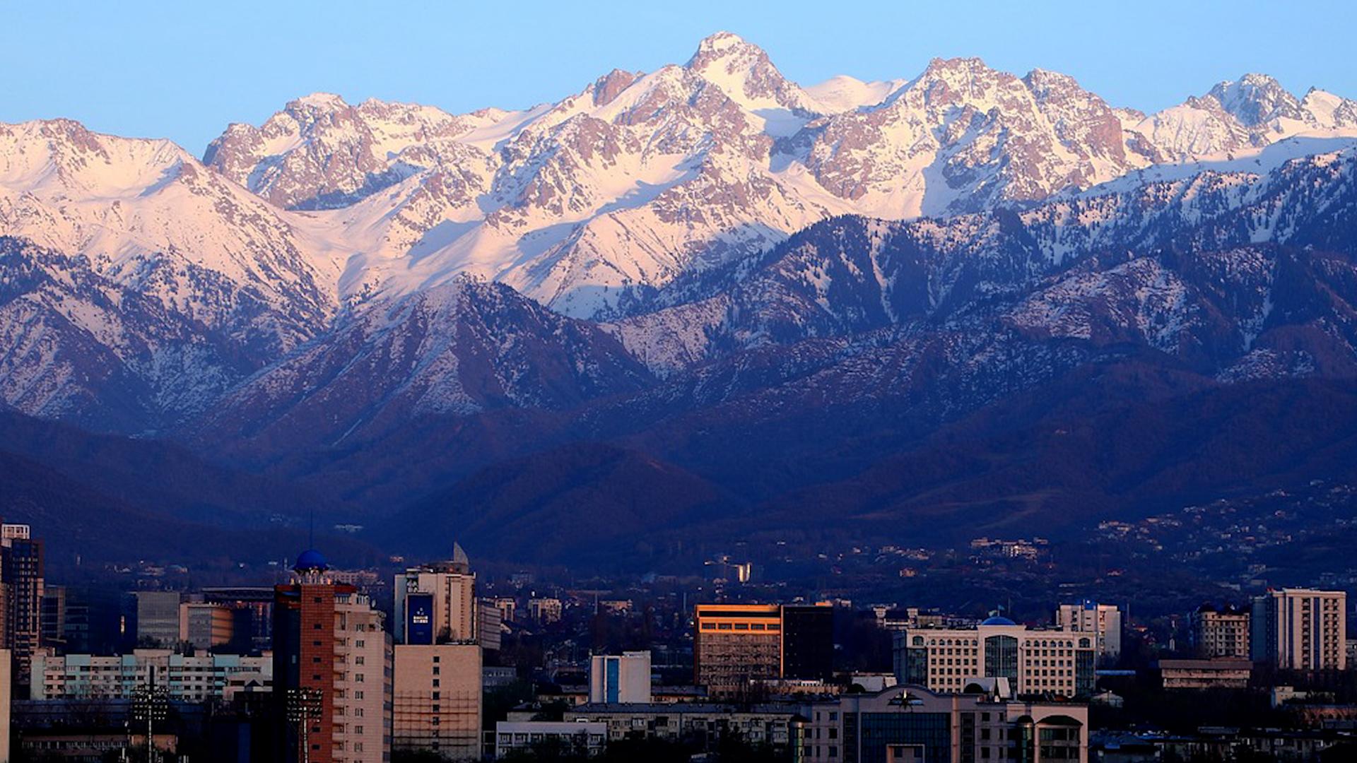 Фото: pixabay.com