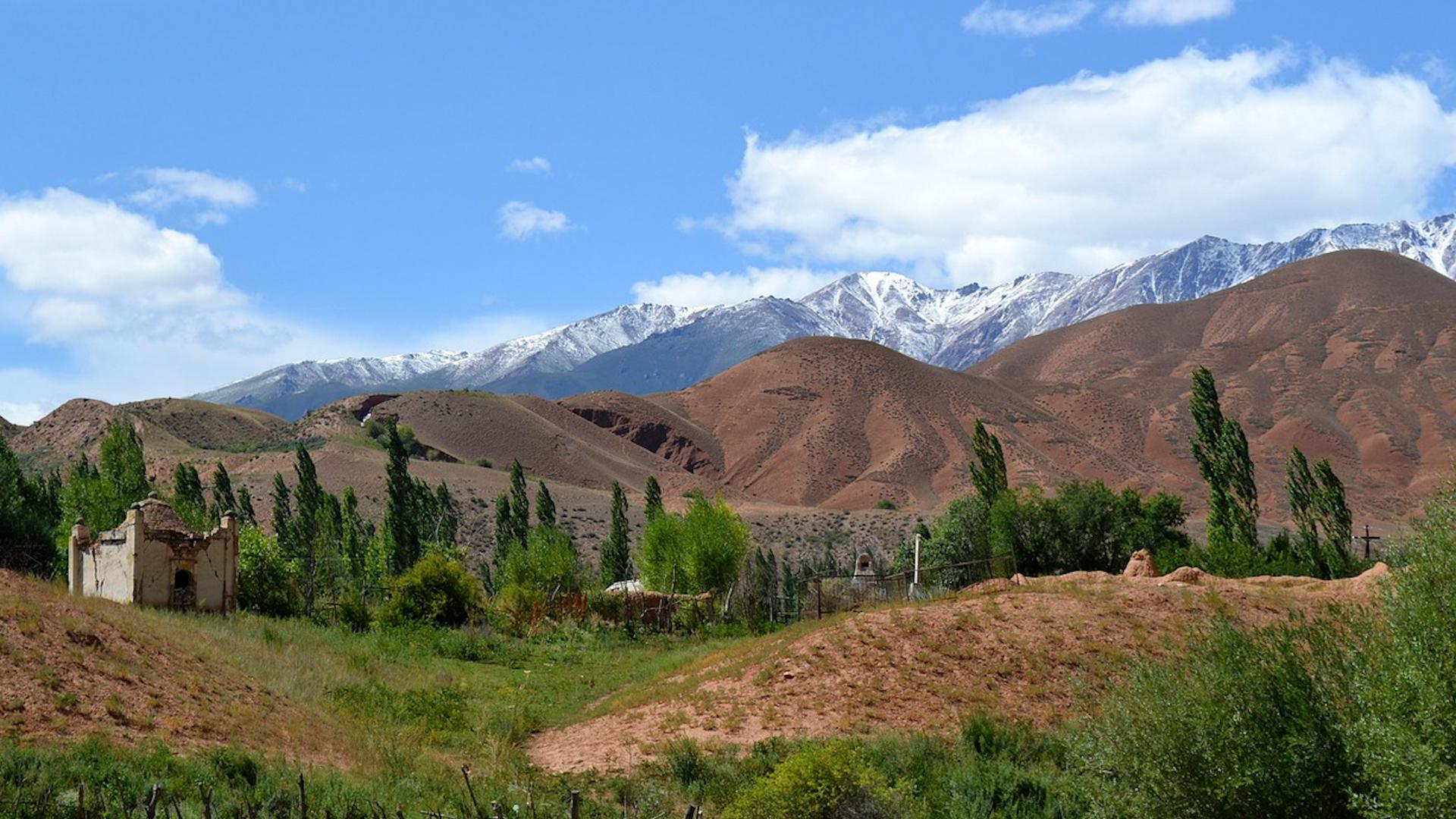 Фото: pixabay.com