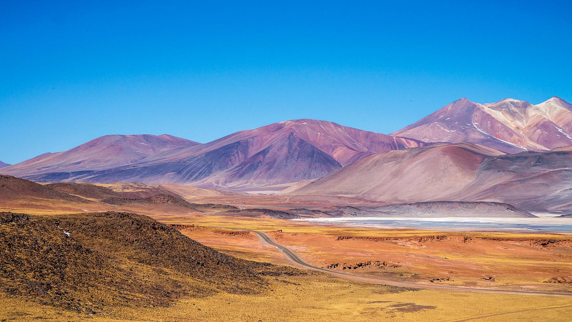 Фото: pixabay.com