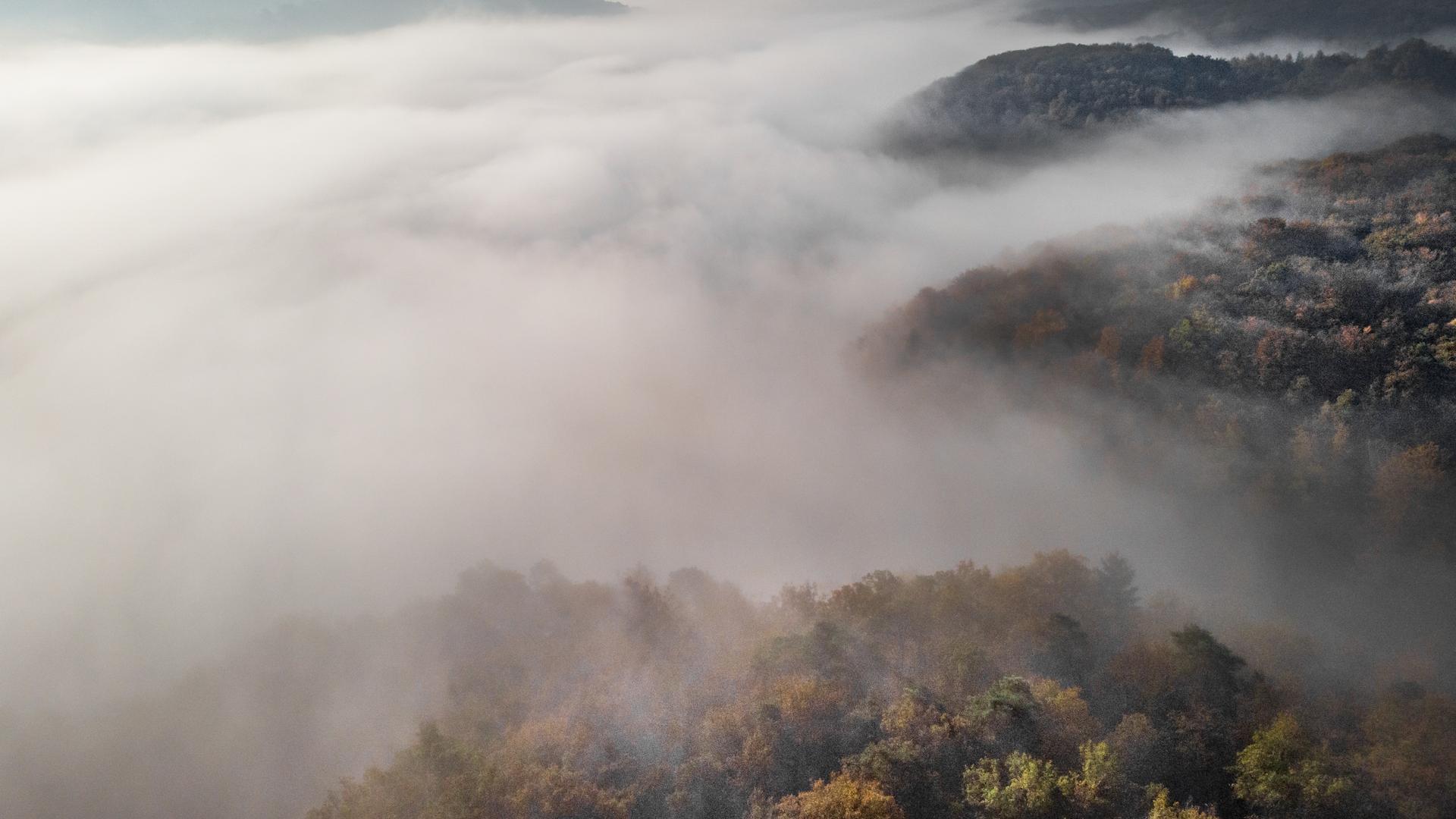 Фото: ru.freepik.com