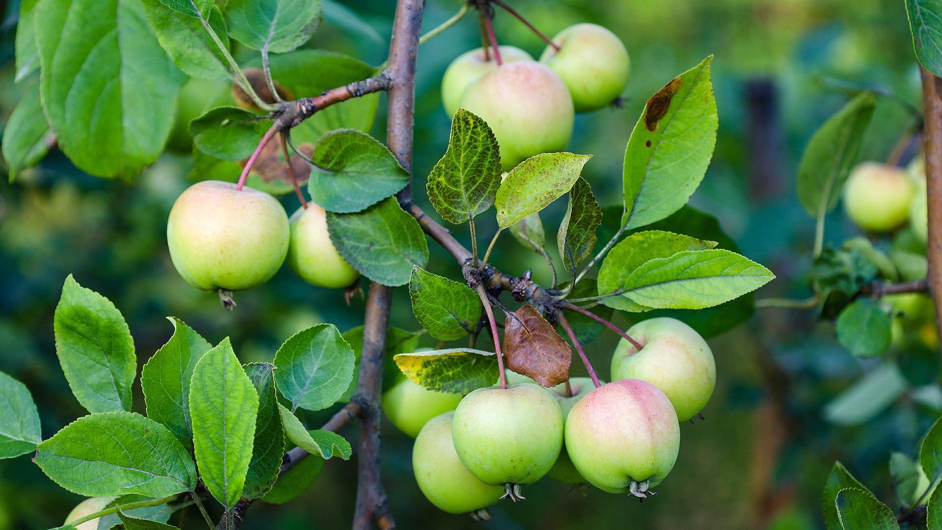 Фото: Elena Mayorova globallookpress.com