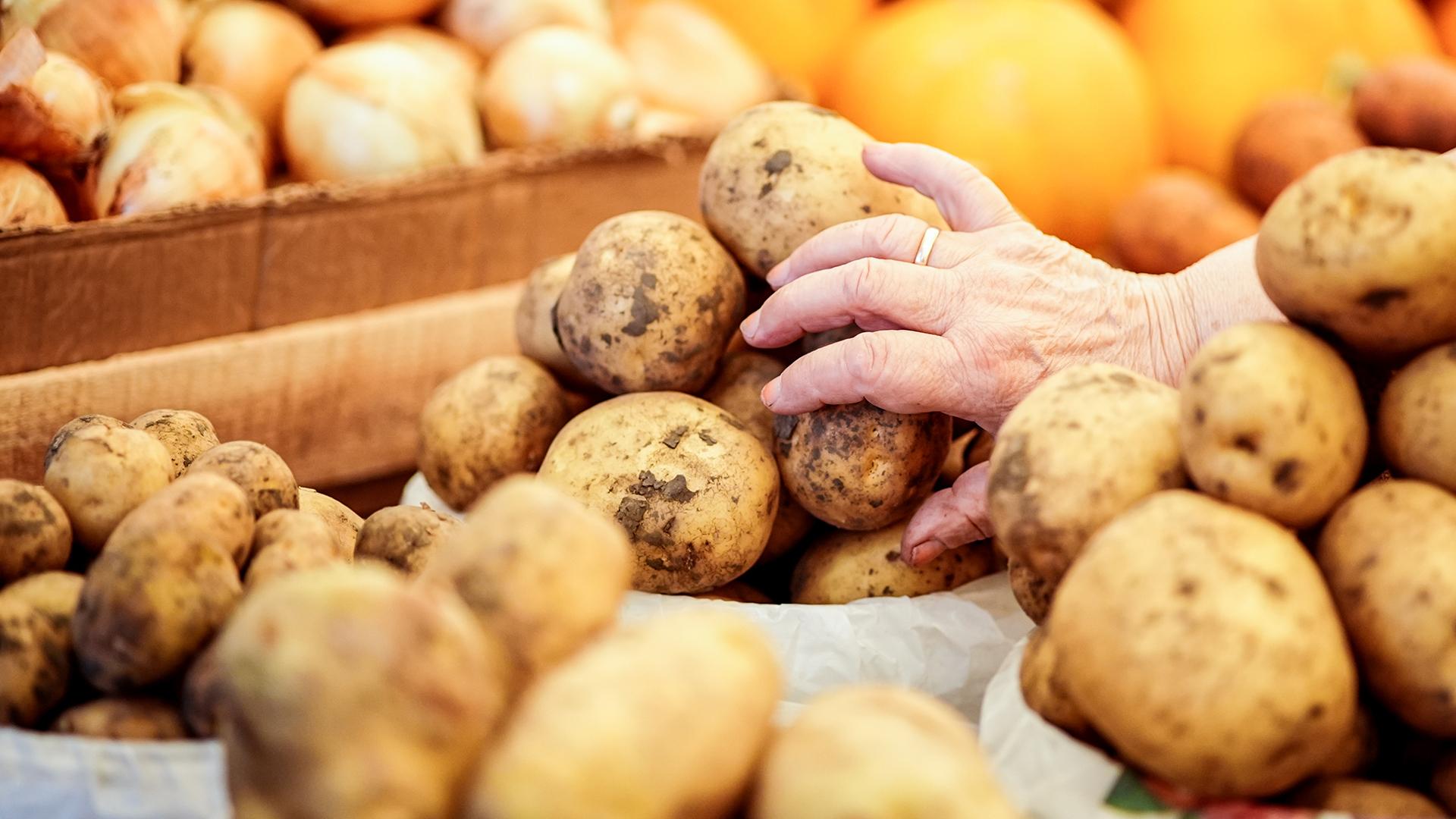 Фото: ИЗВЕСТИЯ Сергей Лантюхов